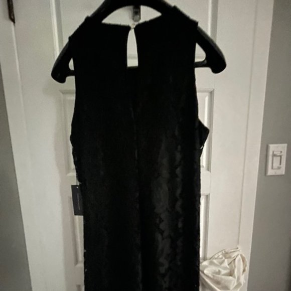 Black Lace Sleeveless A-Line Dress - Picture 4 of 5